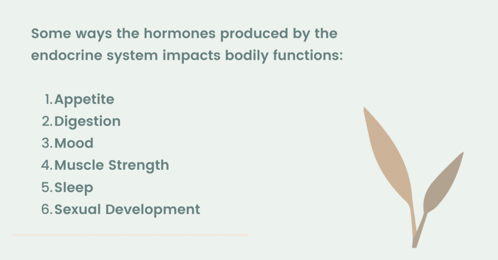 How hormones impacts the body